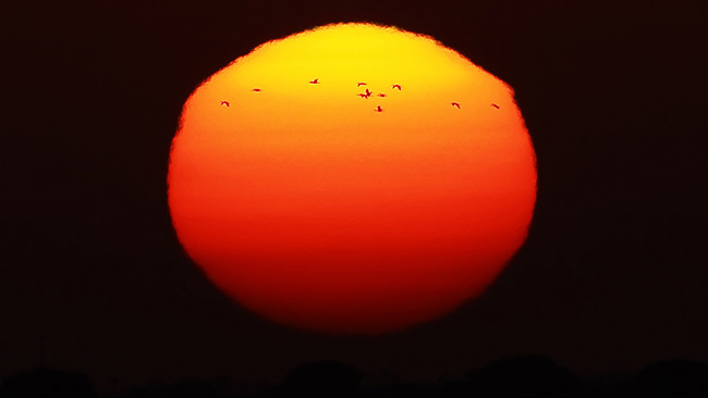 Fotografía de Miguel Michán