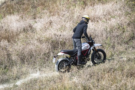 Ducati Scrambler Desert Sled 2019 005