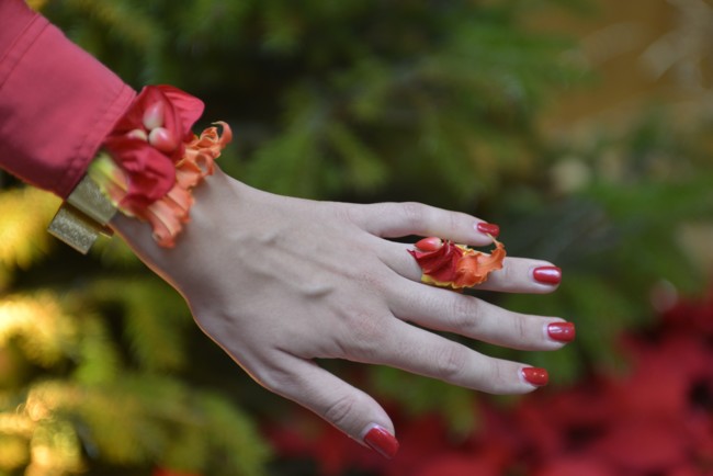 Joyas De Poinsettias
