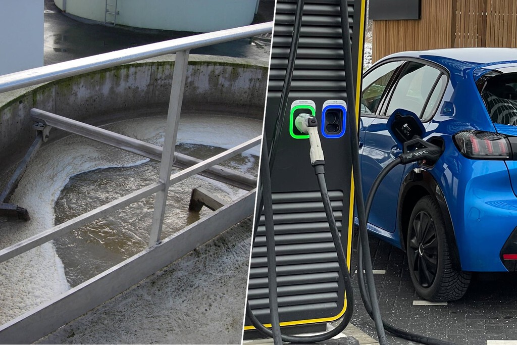 Baterias de lítio-enxofre para carros elétricos enfrentam um problema e fezes humanas podem ser a solução