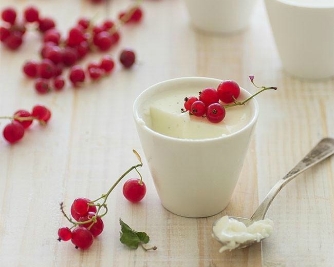 Gelatina1
