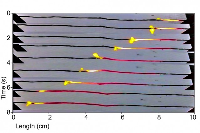 Mit Thermopowerwaves 0