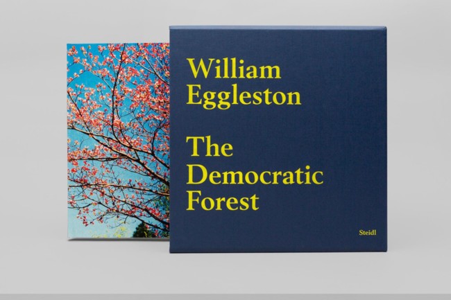 William Eggleston The Democratic Forest 2
