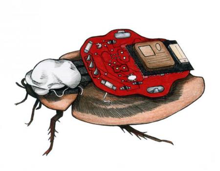Controla una cucaracha cíborg por control remoto con tu Android con Roboroach