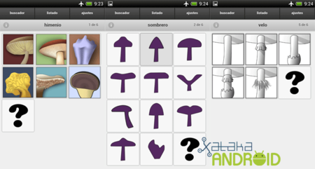 Boletus: identifica setas con tu Android
