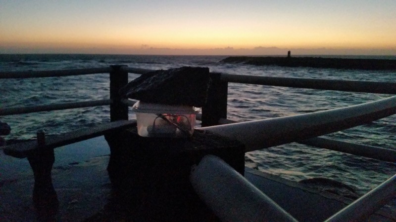 Levantarse a las cinco de la mañana y hacer vídeos timelapse con la Raspberry Pi