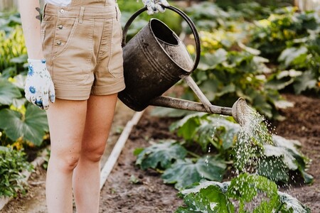 jardinería con niños