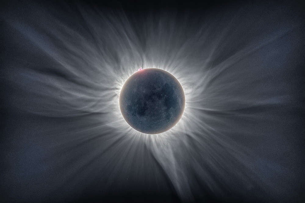 Sun Flower Corona Catalin Beldea And Alson Wong