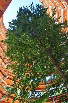 Eagles Nest Rugen 4