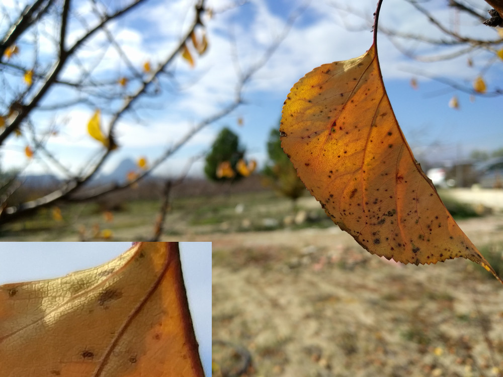 Nexus 6p Detalle