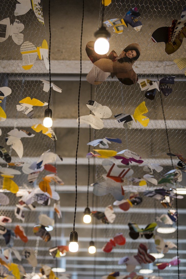 mariposas mercado