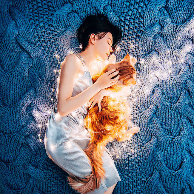 Ginger Cat Photography Kotleta Cutlet Kristina Makeeva Hobopeeba 8