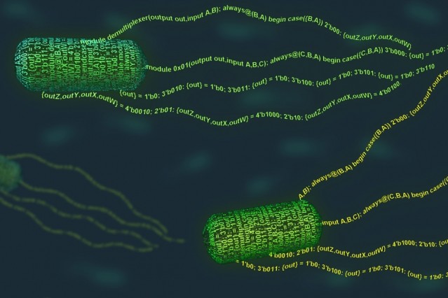 Mit Program Bacteria 0