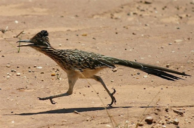 650_1200.jpg