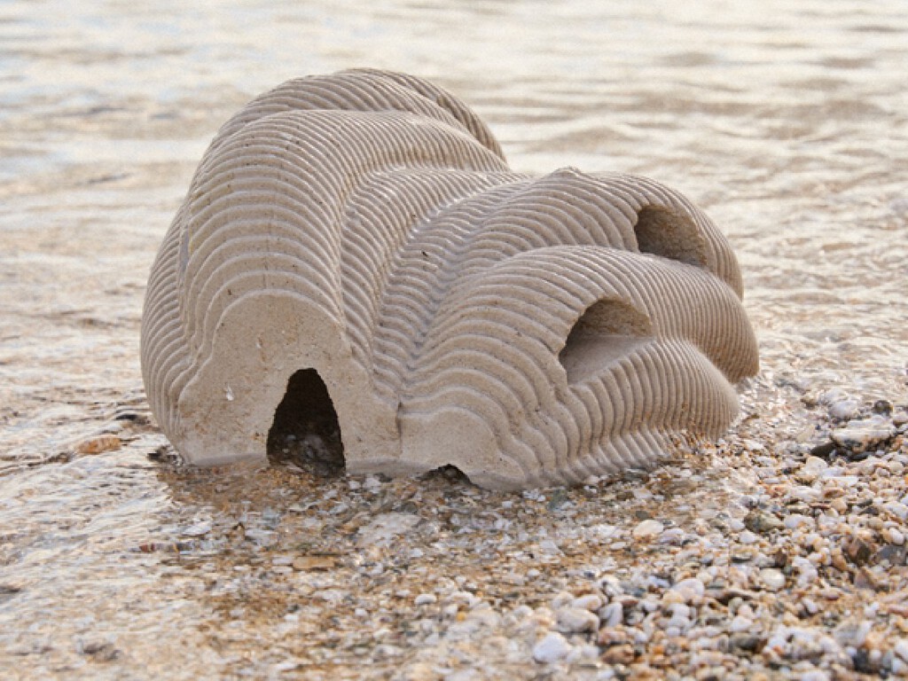 Morrer e virar um coral é uma opção para você? Para algumas pessoas é