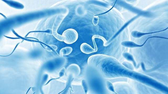 Propiedades Del Semen