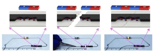 Magnetic Selfheal