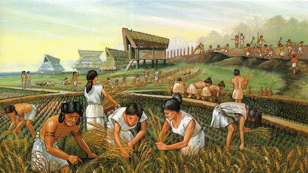 Nihonnoruutsu Yayoi Rice1