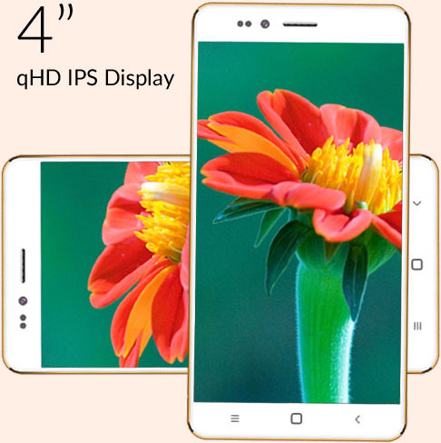 Freedom251