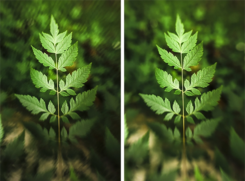 Lensbaby Compar