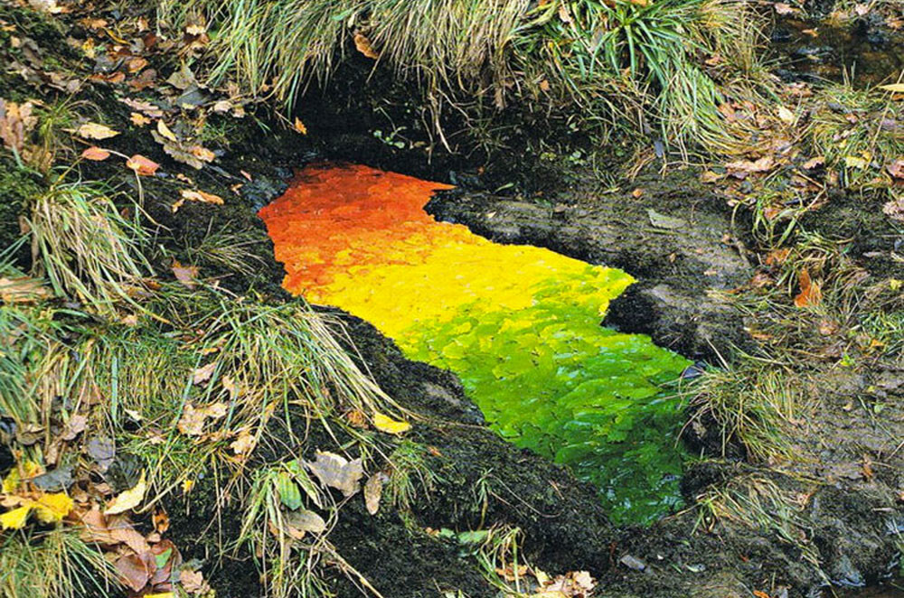 Gradiente de color creado con hojas
