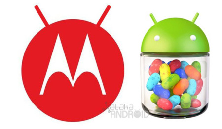 Motorola desvela la lista de dispositivos a actualizar a Android 4.1 (Jelly Bean)