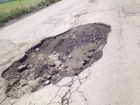 Bache