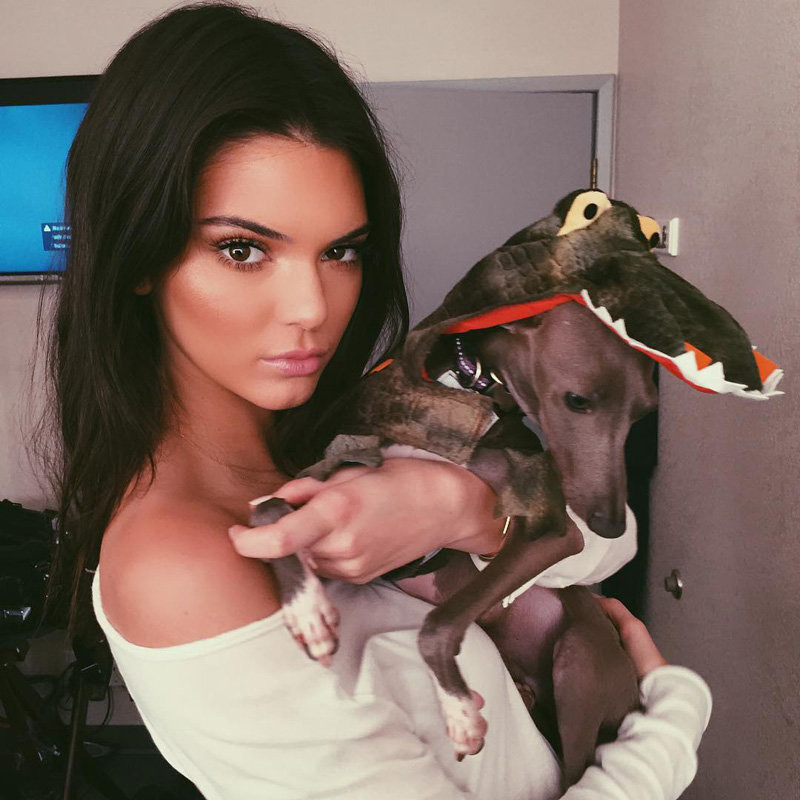 Kendall Jenner y Norman