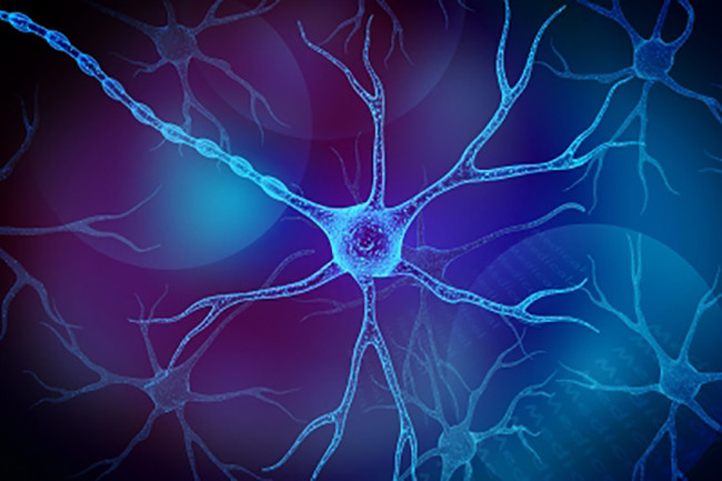Neurona