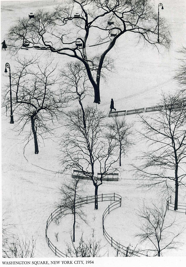 Maestros Fotografia Andre Kertesz 11