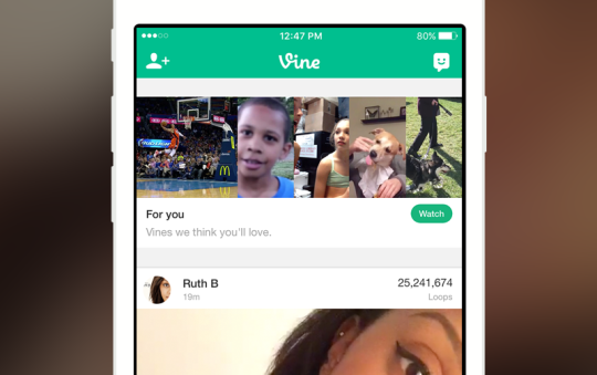 Vine