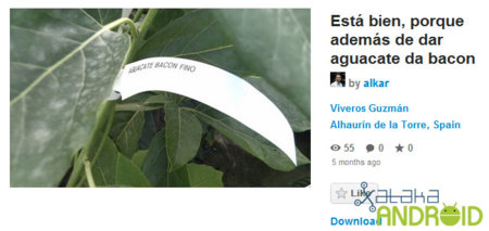 PicPlz ofrecerá una opción para descargar todas tus fotos con un clic