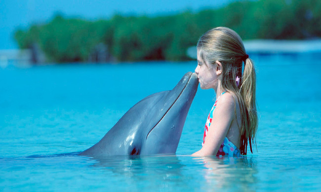 Delfines Espectaculos Prohibidos Cdmx