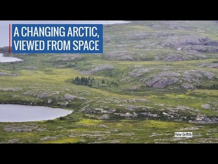 Este vídeo muestra una Alaska inédita: llena de vegetación