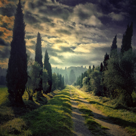 061 Gianluca Ricoveri Trees 3rd