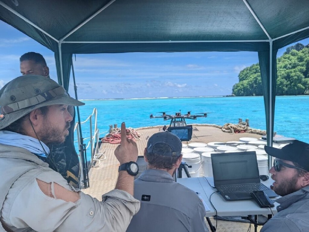Guerra contra roedores? Drones entram em ação para combater ratos invasores nas Ilhas Marquesas