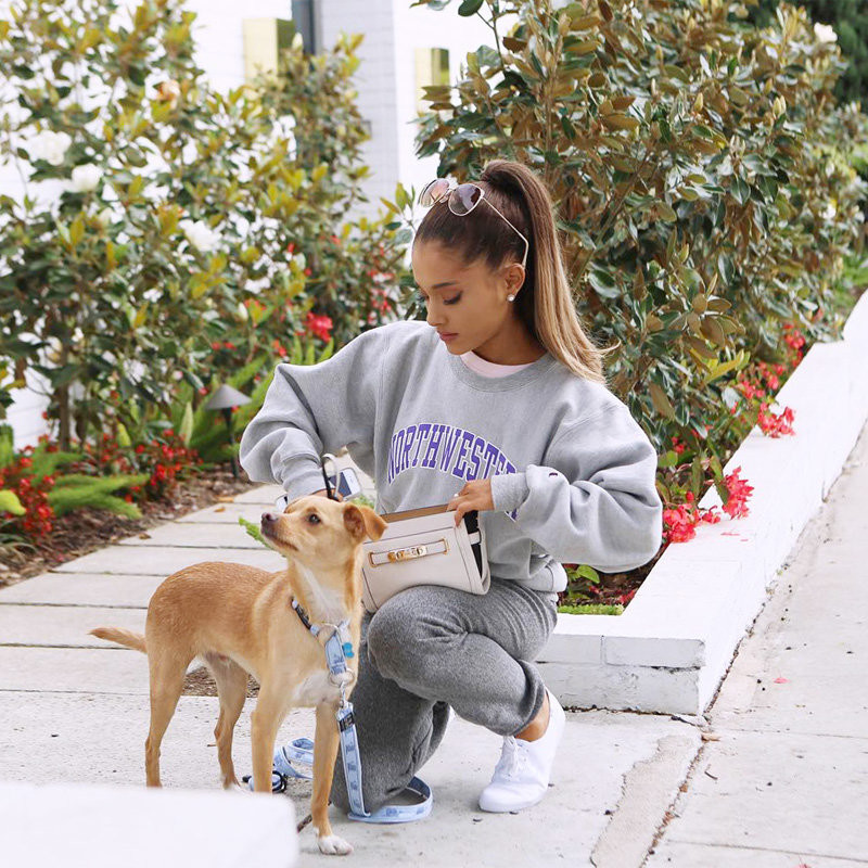 Ariana Grande y Toulouse