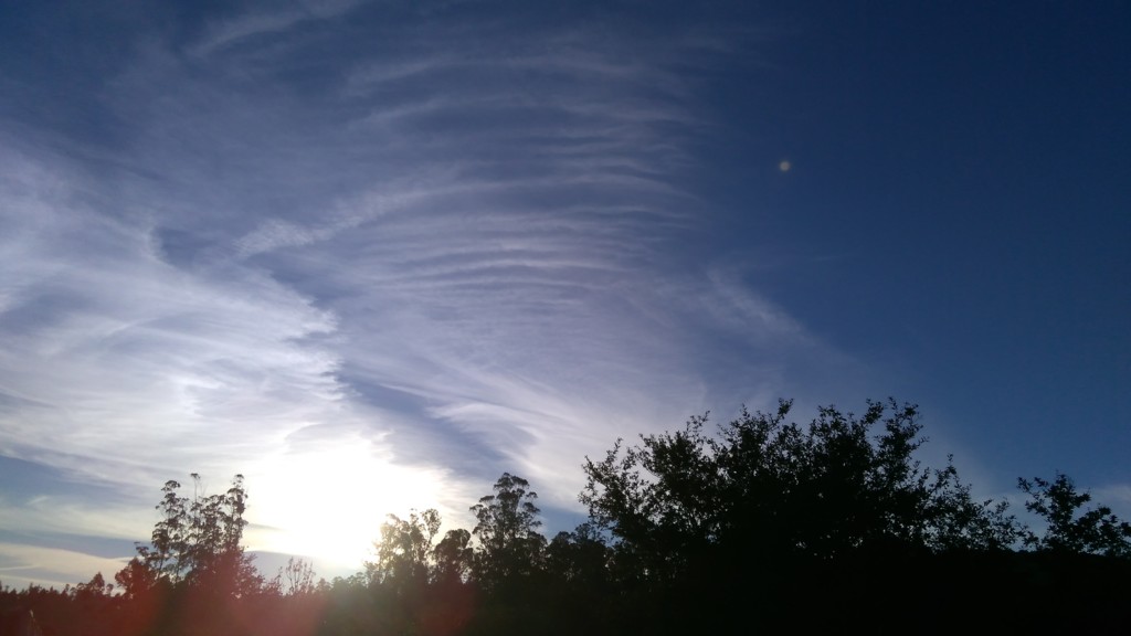 Img 20151107 173421