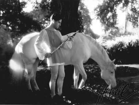 Ramon Horse Wm3
