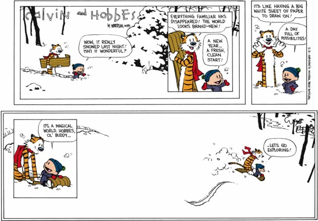 La última tira de Calvin y Hobbes