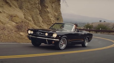 Momoa Mustang