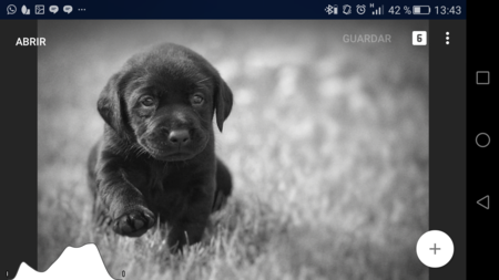 ¿Es el nuevo Snapseed el mejor editor fotográfico para Android? Prueba a fondo