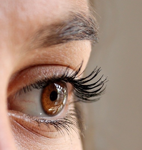 Eye