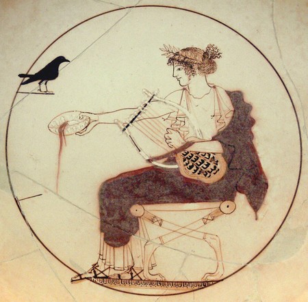 Apollo Black Bird Am Delphi 8140