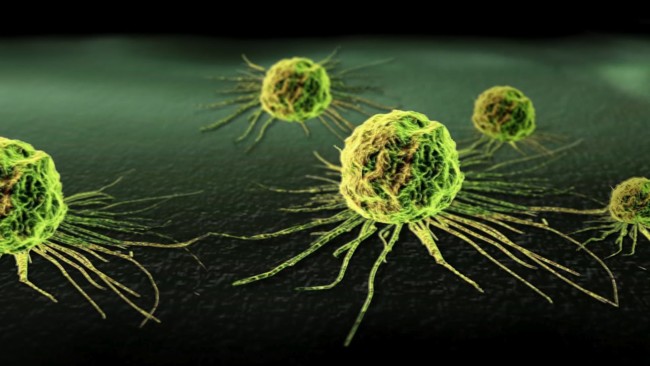 Cancer Cell1
