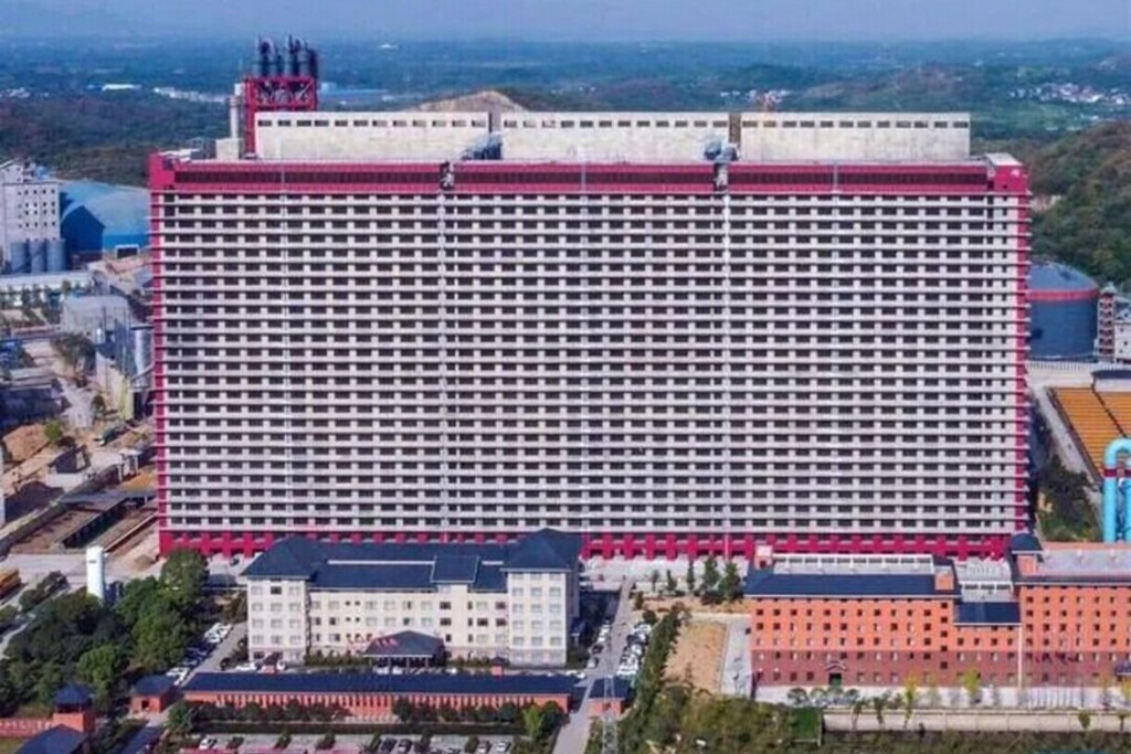 A China está tão convencida de que o futuro da carne suína reside nas "fazendas em arranha-céus" que está tomando medidas: levando-as para outros países