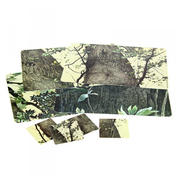 Set Salvamanteles Individuales El Roble Wyeth