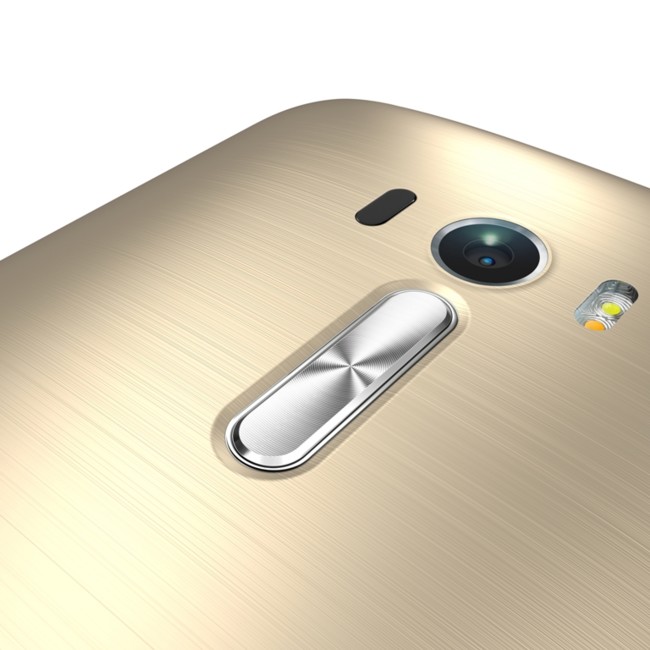 Zd551 Sheer Gold 6