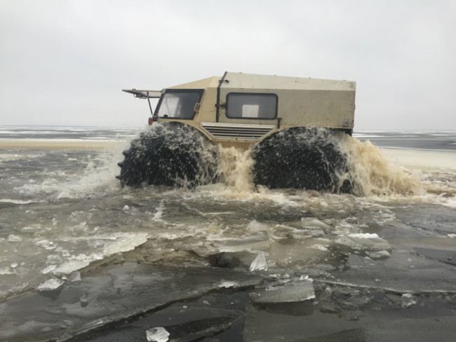 Sherp 6