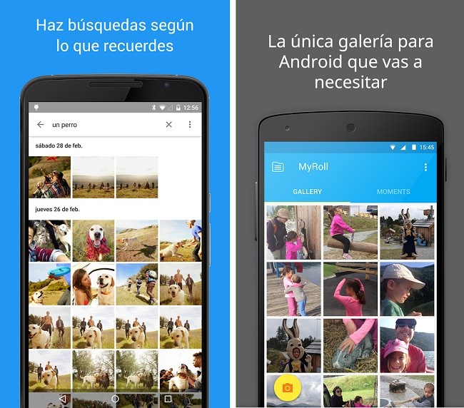Galeria